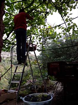 10- 2019-09-21 at 20.42.16 (2).jpeg